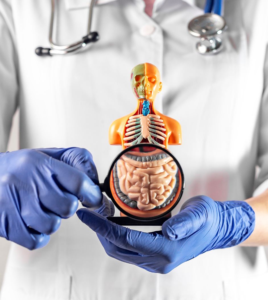 Proctology | Salud gastrointestinal
